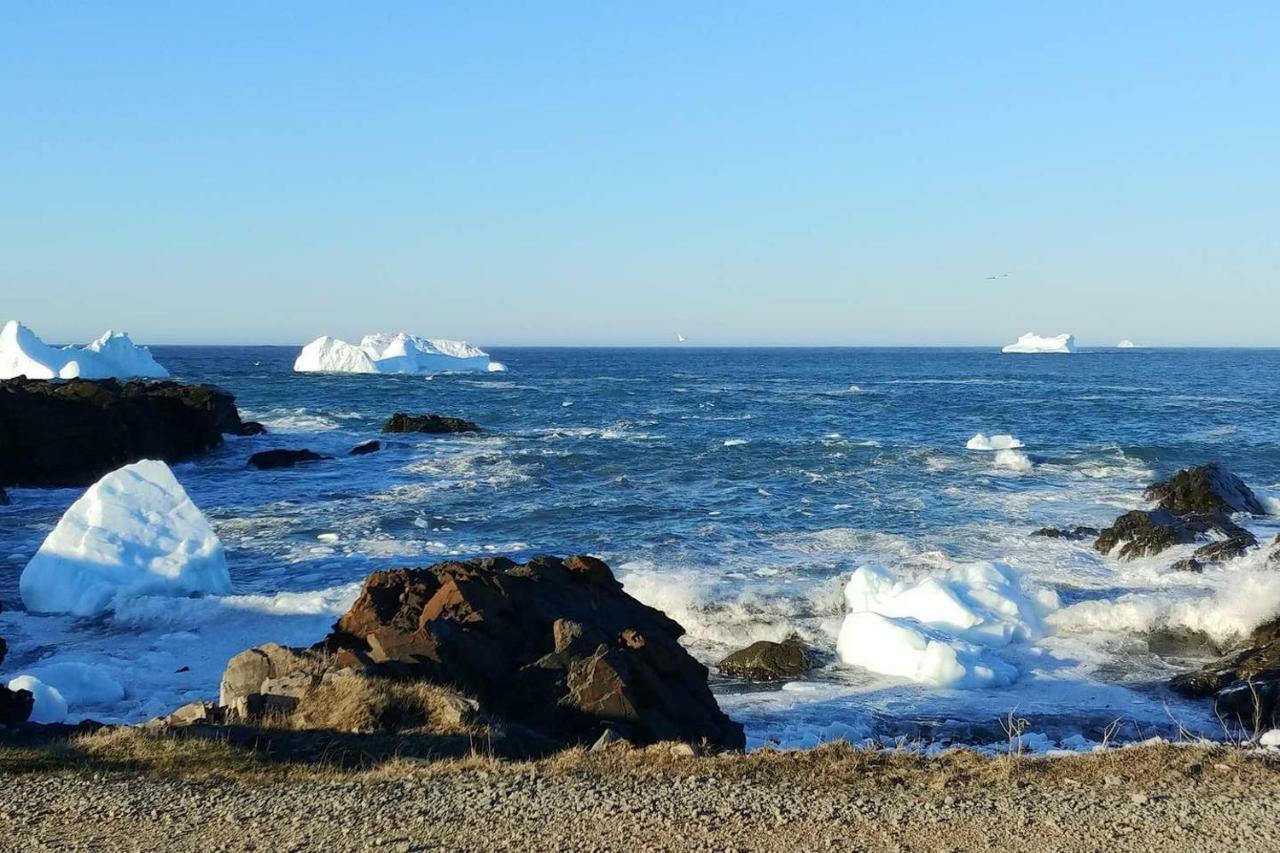 Lavenia Rose Cottages, Sunrise Cottage Catalina 외부 사진